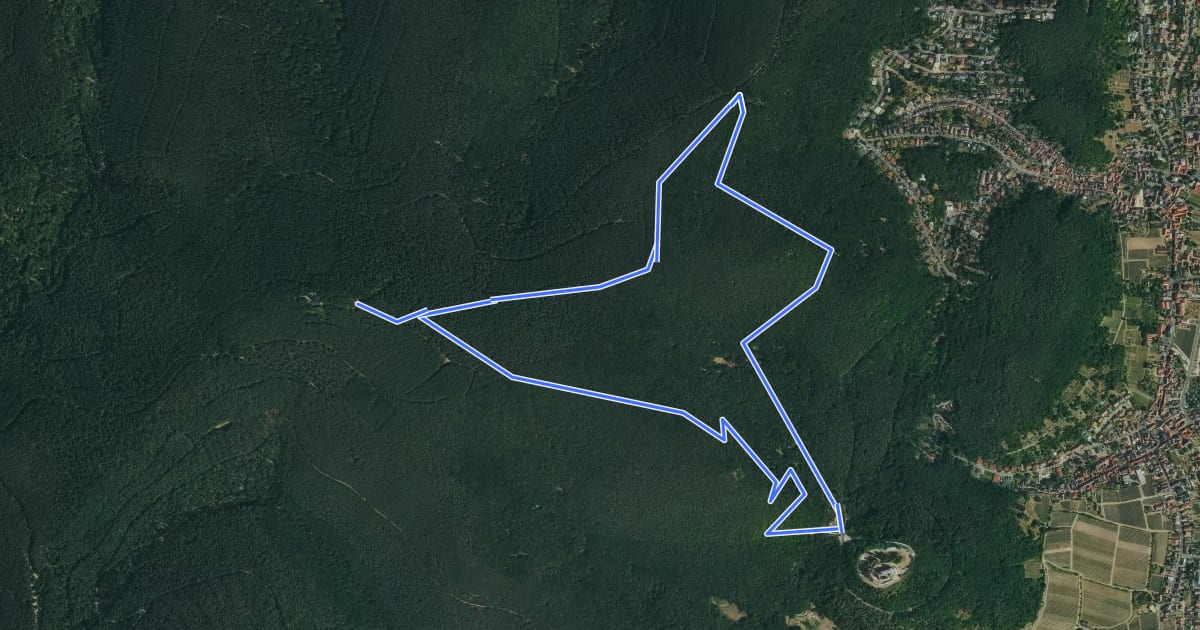 Маршрут Rundwanderweg Hambacher Schloss 6 на спутниковом снимке