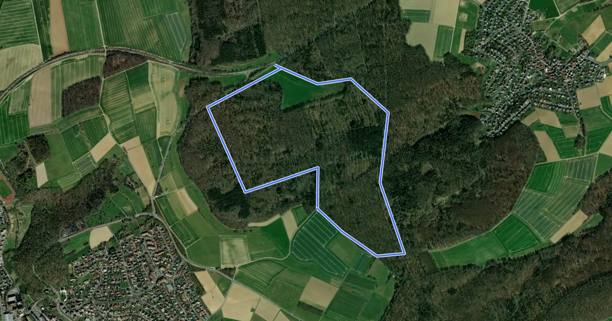 Маршрут Rundwanderweg Hase Schnepfengarten на спутниковом снимке