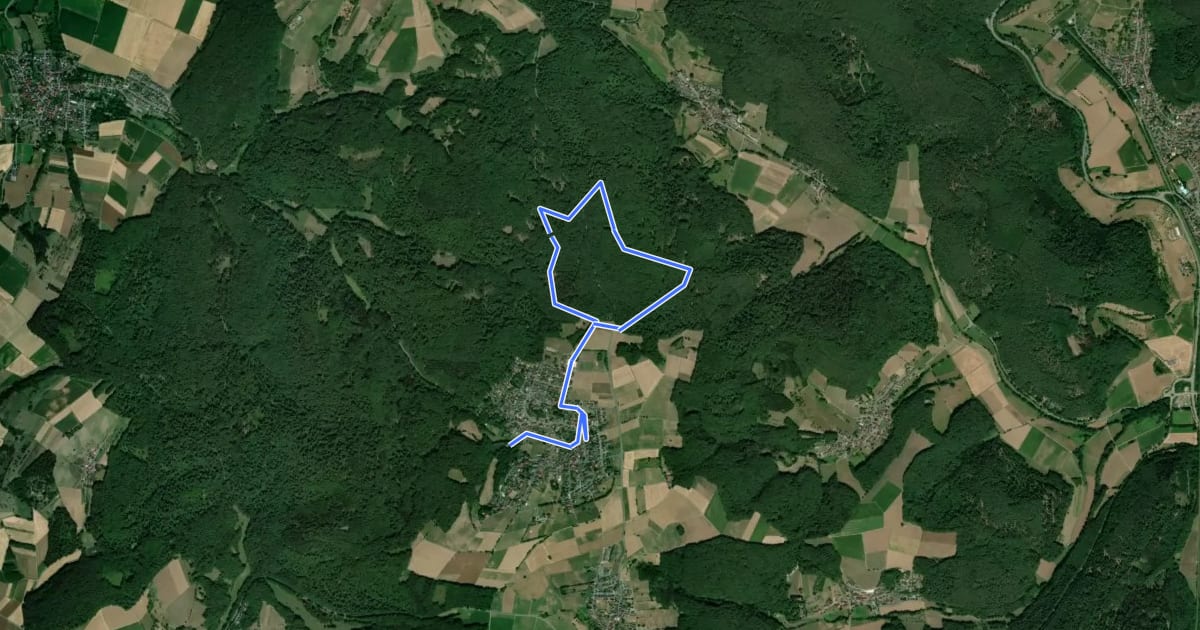 Маршрут Rundwanderweg Hassenroth 1 : Eichkopf-Weg на спутниковом снимке