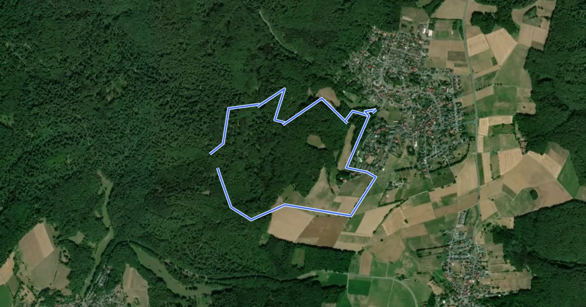Маршрут Rundwanderweg Hassenroth 3 : Waldlehrpfad на спутниковом снимке