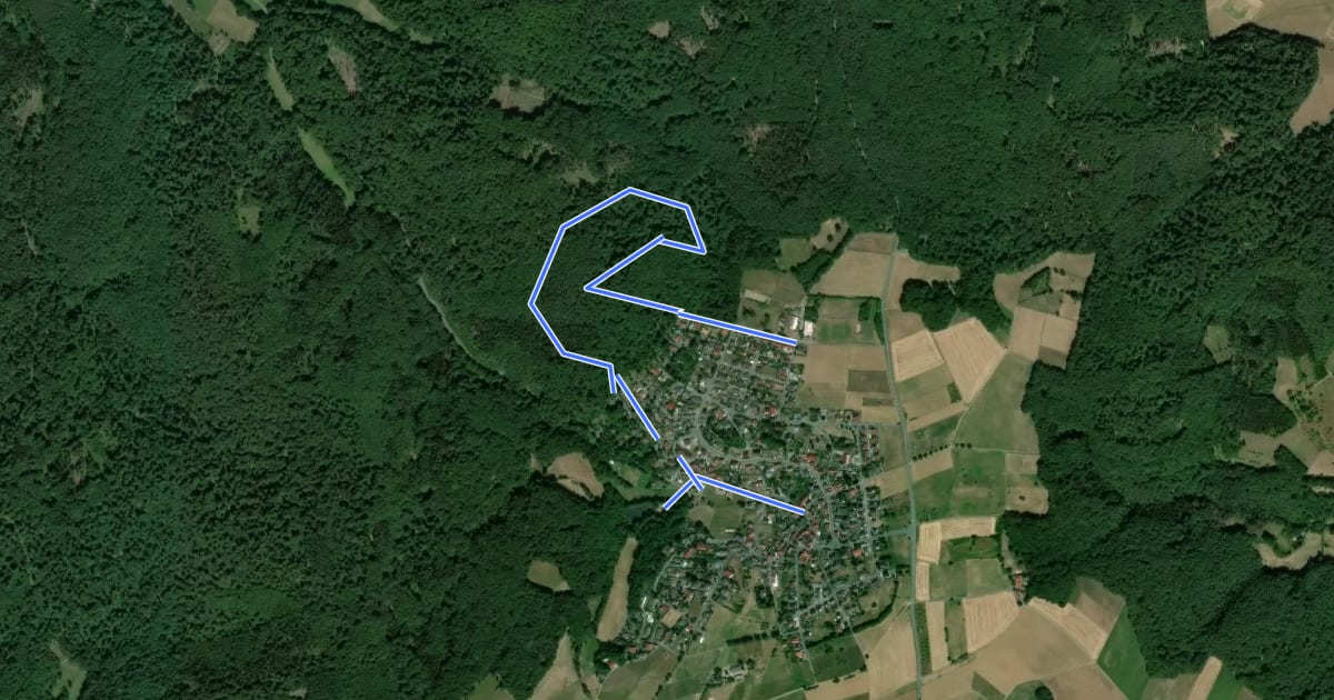 Маршрут Rundwanderweg Hassenroth 5 : Koppelwald-Weg на спутниковом снимке