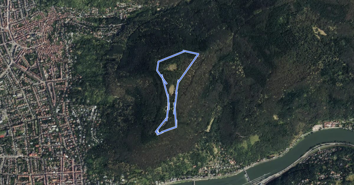 Маршрут Rundwanderweg Heidelberg Heiligenberg 1: Basilika-Weg на спутниковом снимке