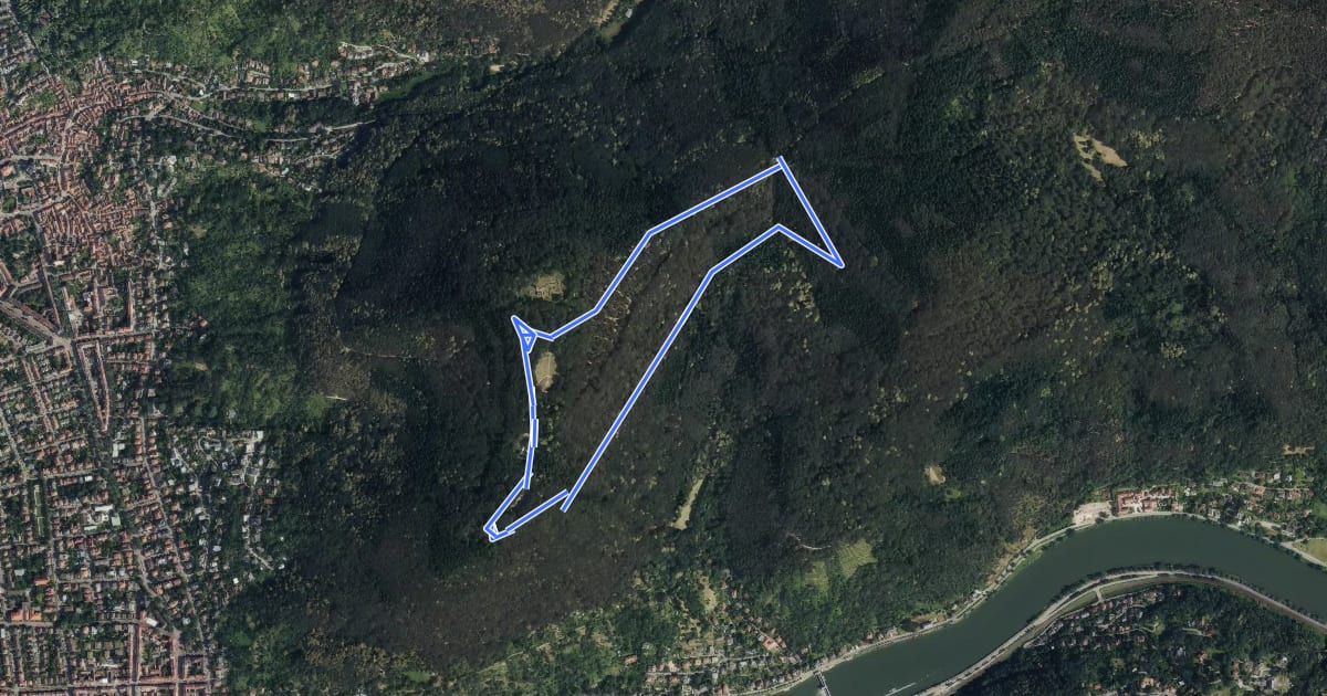 Маршрут Rundwanderweg Heidelberg Heiligenberg 2: Zollstock-Weg на спутниковом снимке