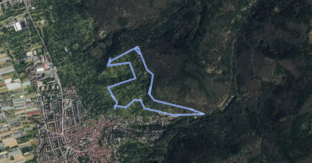 Маршрут Rundwanderweg Heidelberg Turnerbrunnen 3: Weinberg-Weg на спутниковом снимке