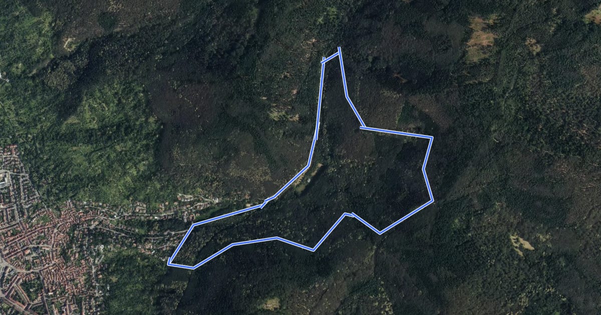 Маршрут Rundwanderweg Heidelberg Turnerbrunnen 4: Holdermannseiche-Weg на спутниковом снимке