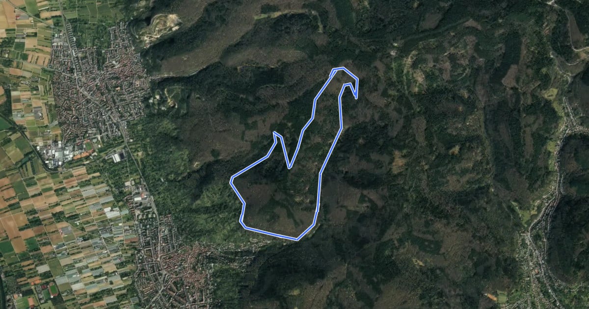 Маршрут Rundwanderweg Heidelberg Turnerbrunnen 5: Hoher-Nistler-Weg на спутниковом снимке