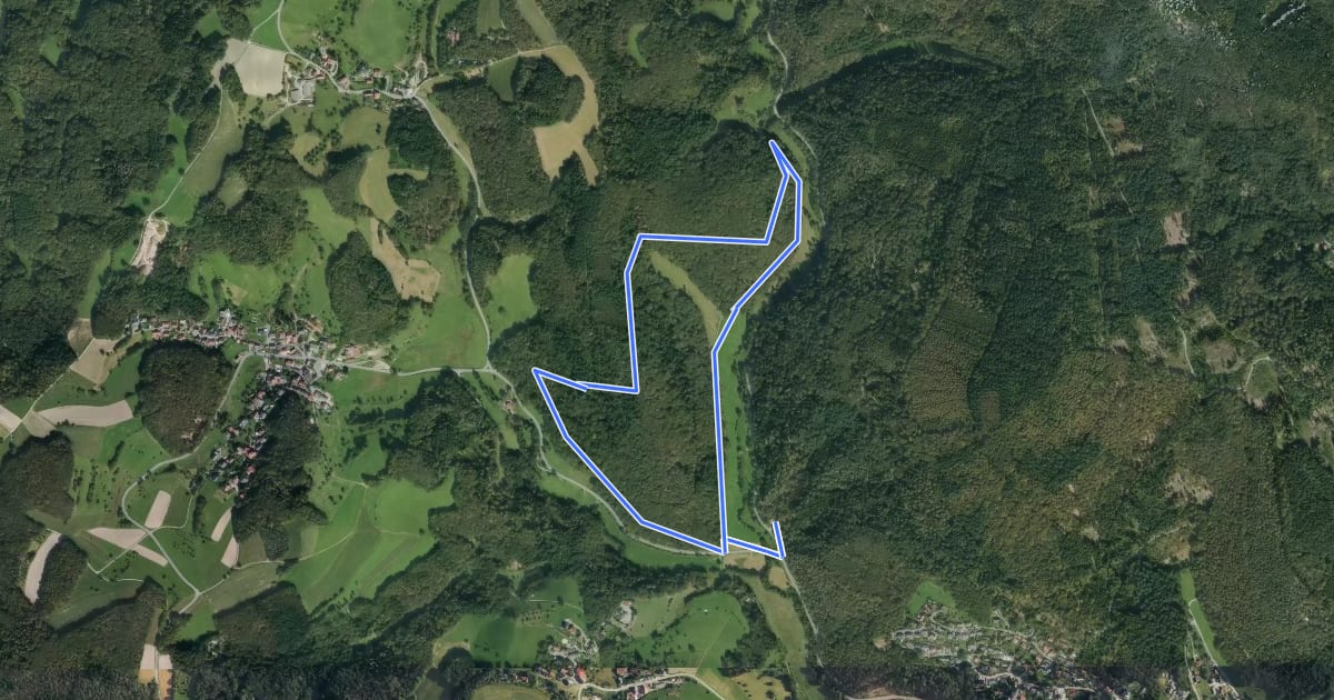 Маршрут Rundwanderweg Heiligkreuzsteinach Rehdelle 1: Ringeshof-Weg на спутниковом снимке