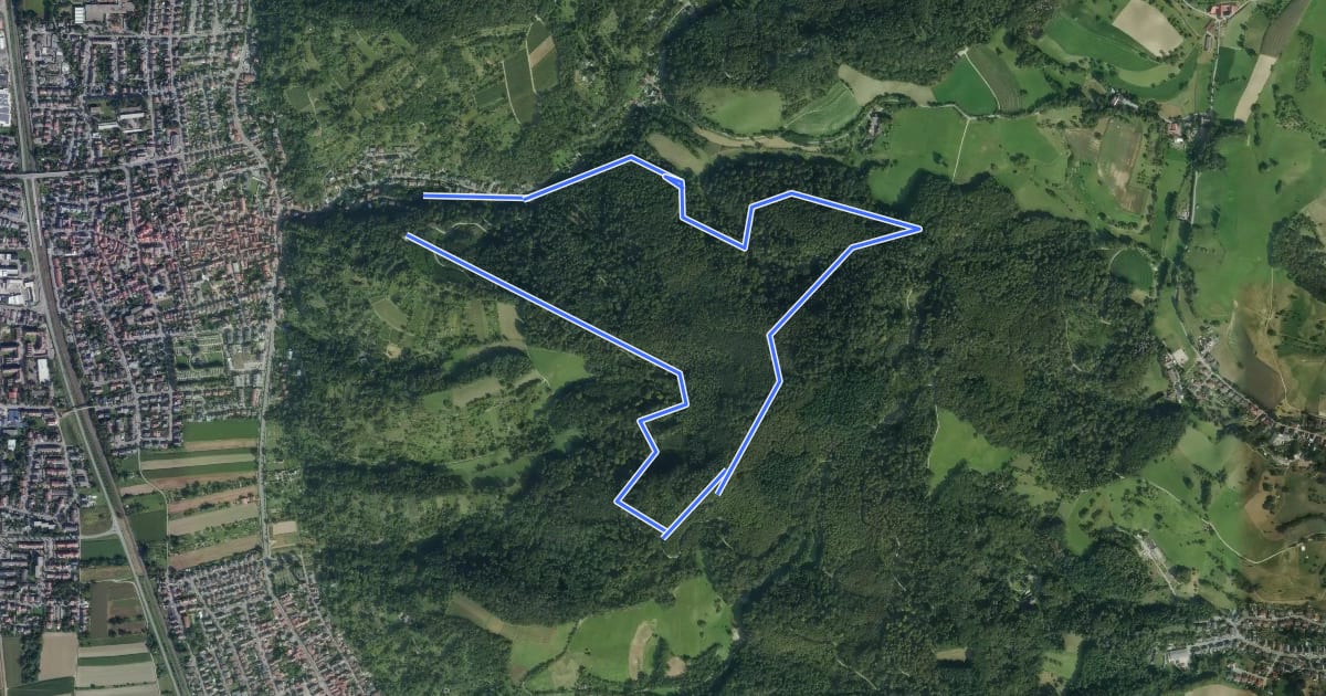 Маршрут Rundwanderweg Hemsbach Mühlweg 3: Bocksberg-Weg на спутниковом снимке