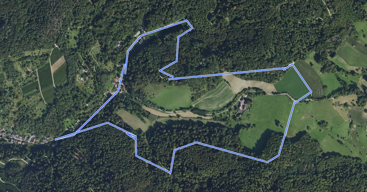 Маршрут Rundwanderweg Hemsbach Schaumesklingen 2: Waldnersturm-Weg на спутниковом снимке