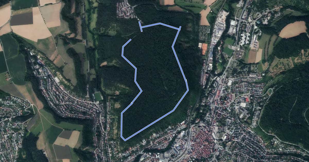 Маршрут Rundwanderweg Henschelberg 1: Henschelberg-Weg на спутниковом снимке