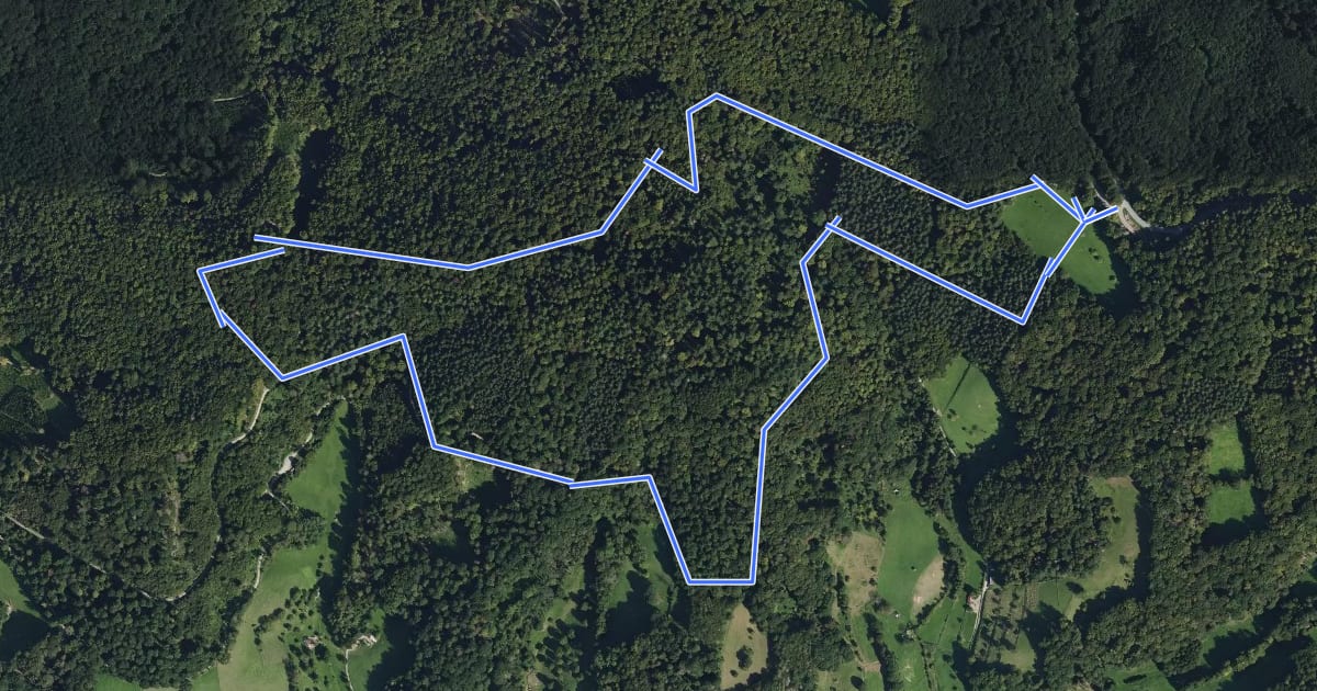 Маршрут Rundwanderweg Heppenheim An der Lee 3: Um den Steinkopf на спутниковом снимке