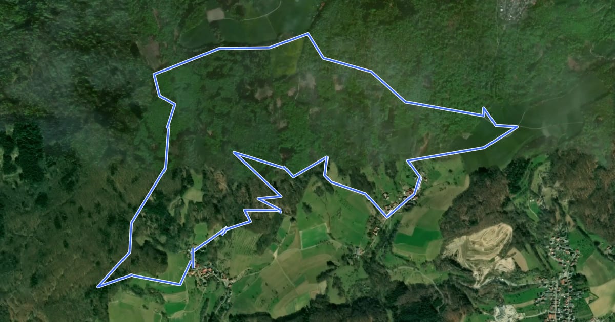Маршрут Rundwanderweg Heppenheim Scheuerberg 9: Schannenbacher-Eck-Weg на спутниковом снимке