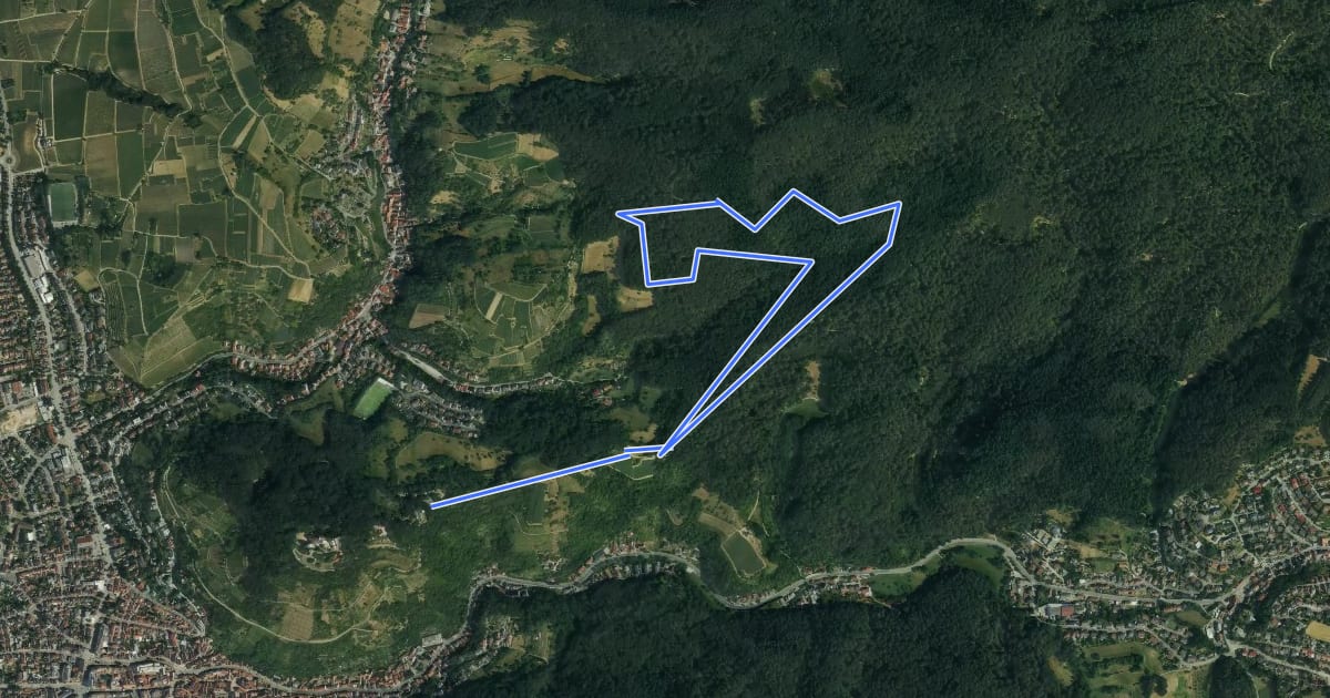 Маршрут Rundwanderweg Heppenheim Starkenburg 2: Rund um den Absbrunnen на спутниковом снимке
