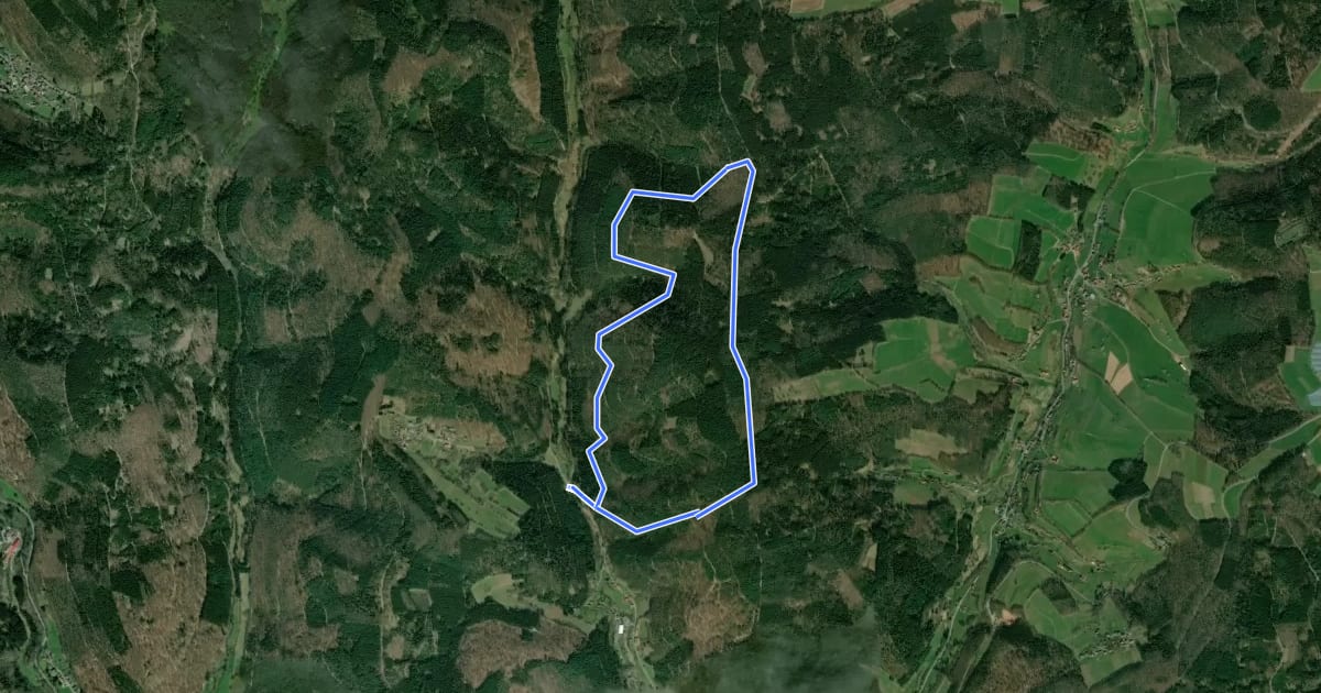 Маршрут Rundwanderweg Hinterbachtal 4: Leonhardskopf-Weg на спутниковом снимке