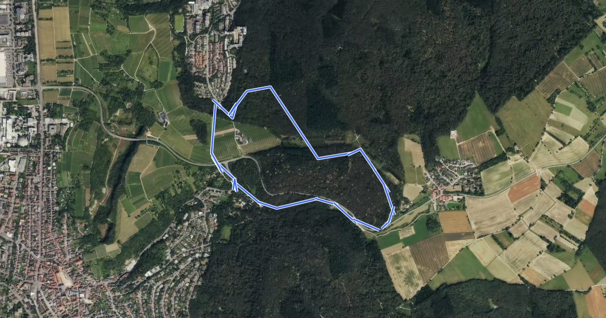 Маршрут Rundwanderweg Hirschgrund 10: Emmertsgrund-Weg на спутниковом снимке