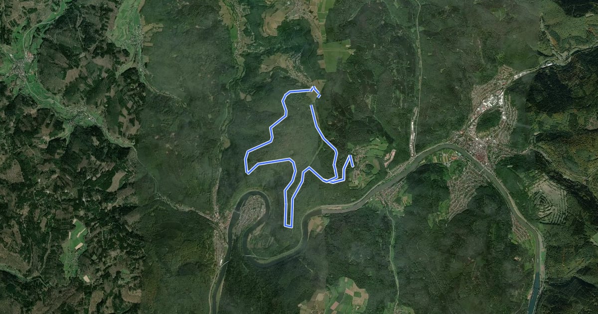 Маршрут Rundwanderweg Hirschhorn Igelsbach 2: Langer-Wald-Weg на спутниковом снимке