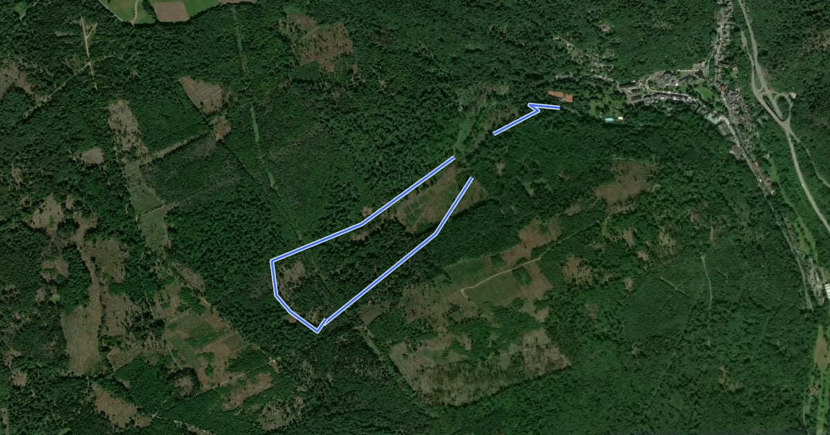 Маршрут Rundwanderweg Hirschkäfer на спутниковом снимке