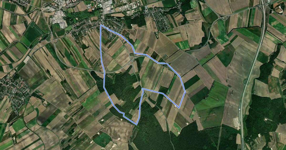 Маршрут Rundwanderweg Holzberg на спутниковом снимке