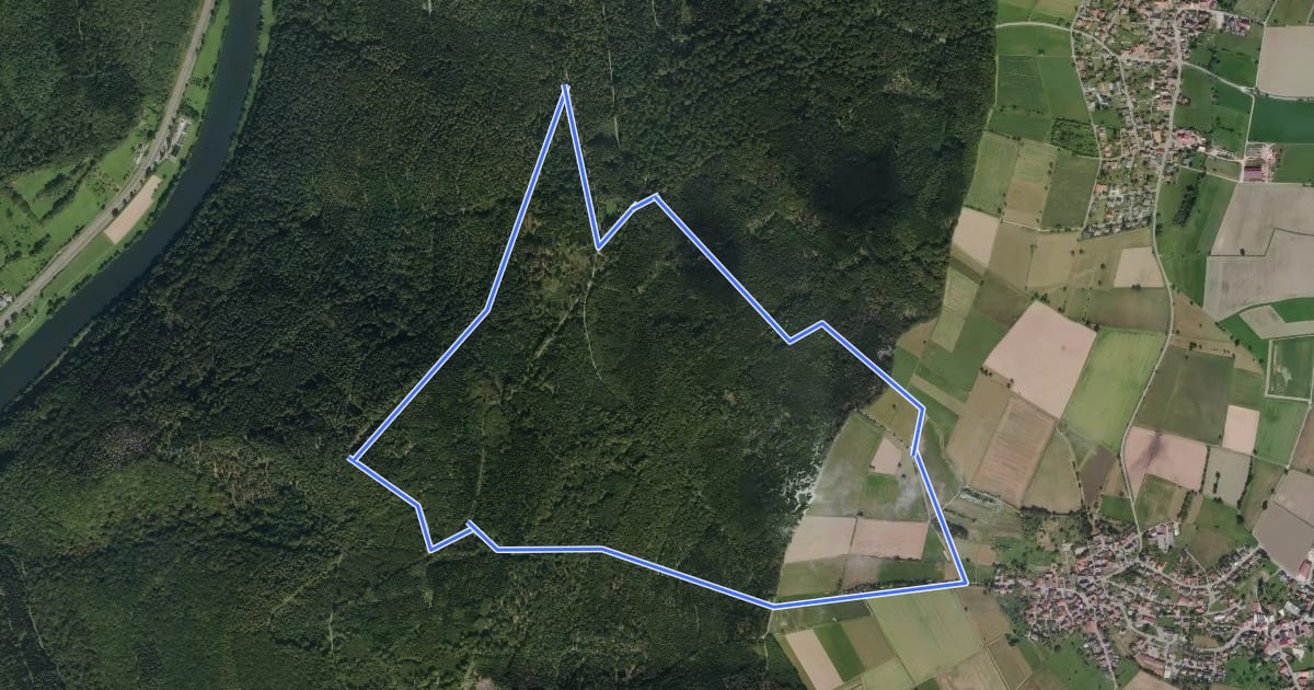 Маршрут Rundwanderweg Im Höchsten 5: Bildhütten-Weg на спутниковом снимке