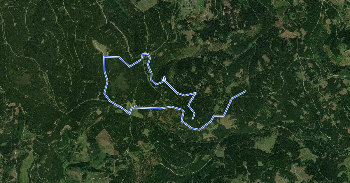 Маршрут Rundwanderweg in der Gipfelregion Nr. 4 на спутниковом снимке