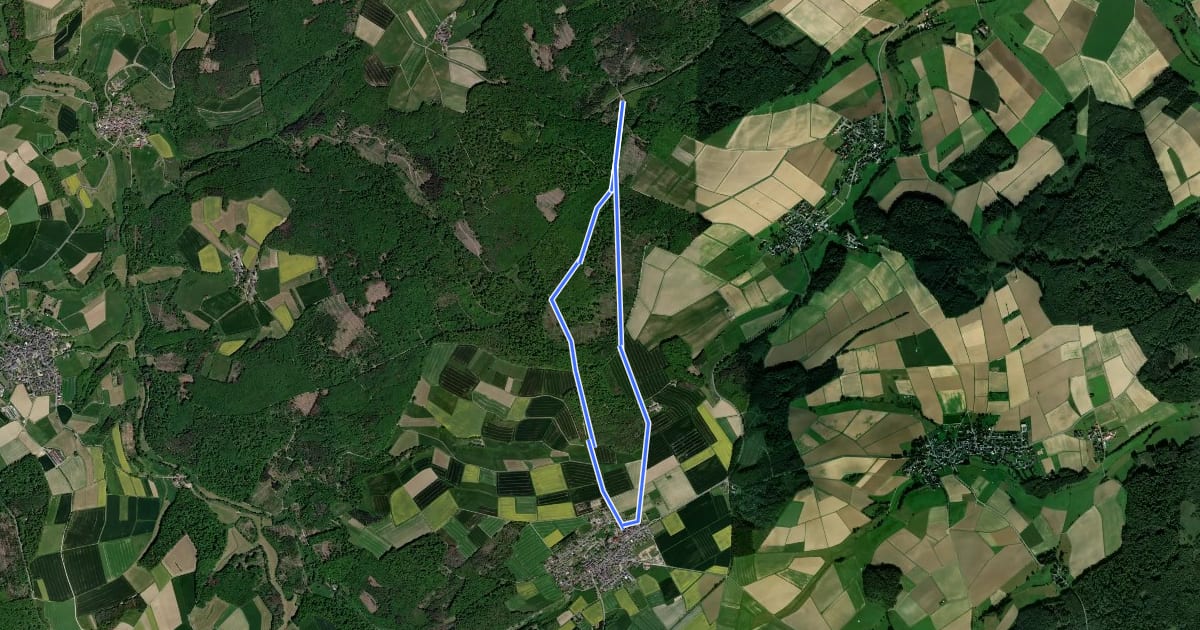 Маршрут Rundwanderweg J1 на спутниковом снимке