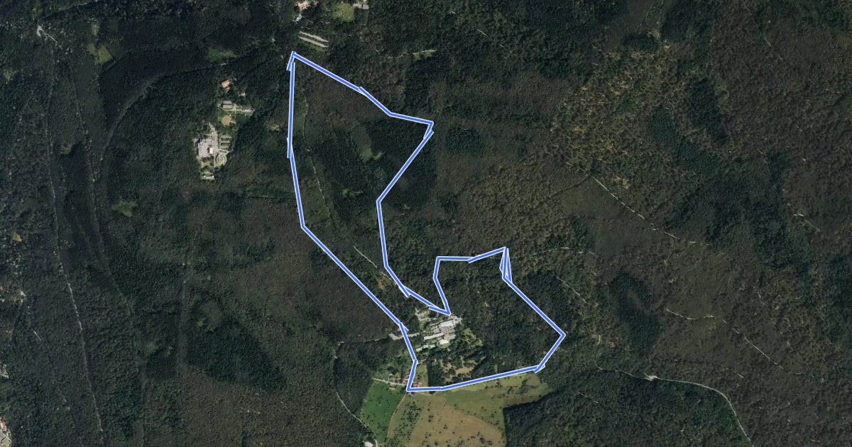 Маршрут Rundwanderweg Königstuhl 5: Kohlhof-Weg на спутниковом снимке