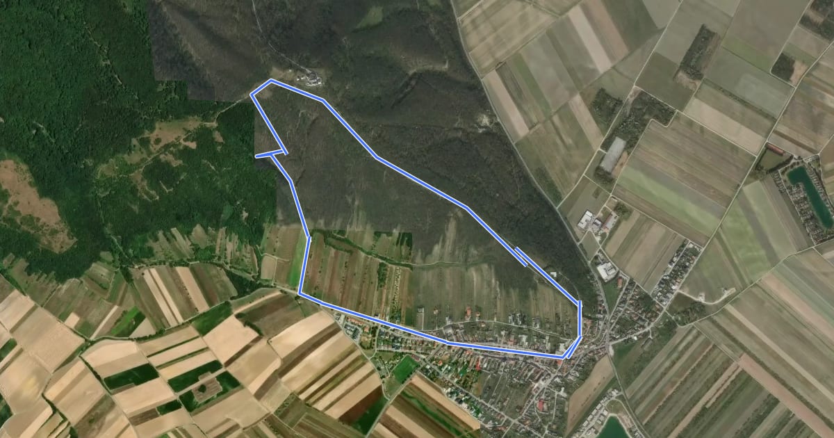 Маршрут Rundwanderweg Königswarte-Altes Haus на спутниковом снимке