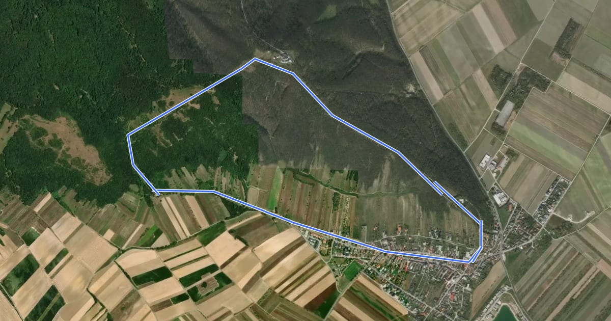 Маршрут Rundwanderweg Königswarte-Hindlerberg на спутниковом снимке