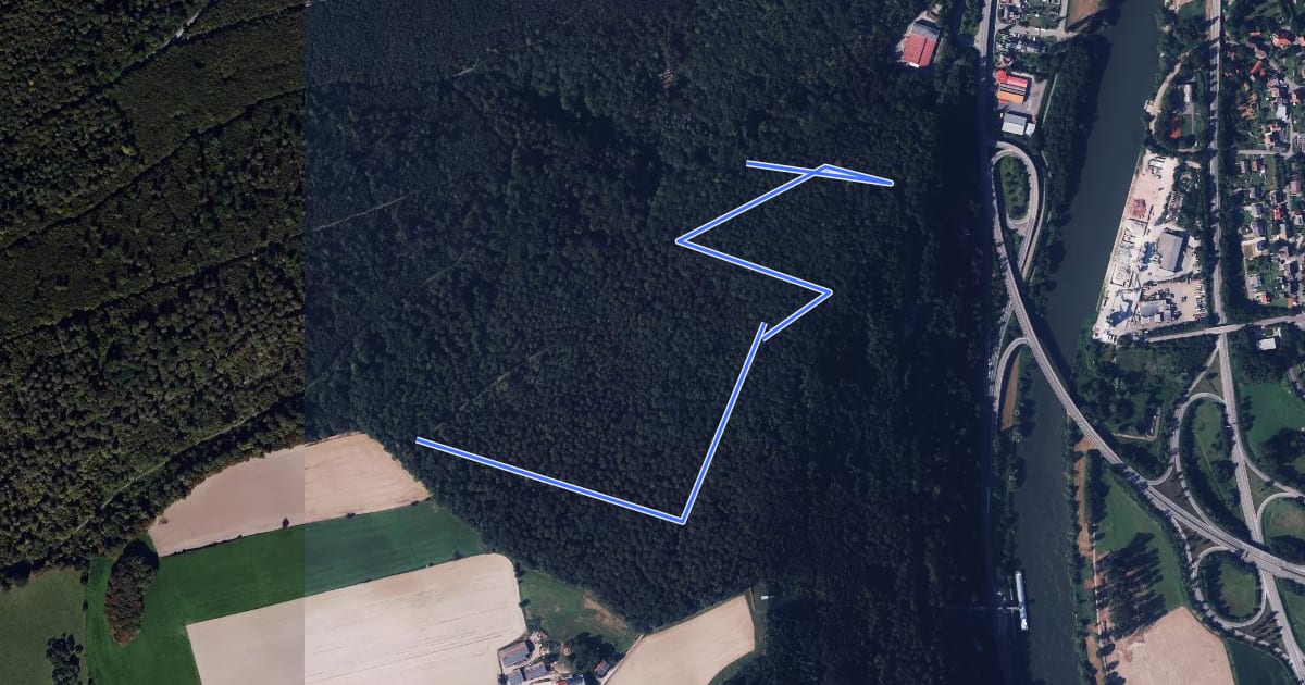 Маршрут Rundwanderweg Karlsberg 1: Luttenbach-Weg на спутниковом снимке
