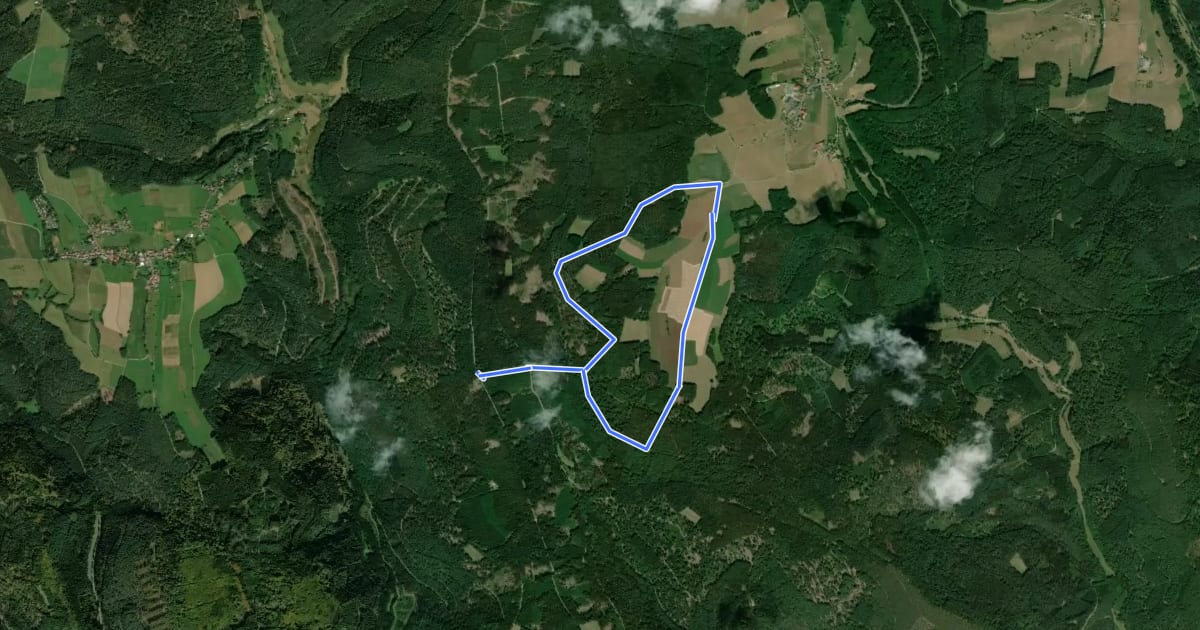 Маршрут Rundwanderweg Kirchzell Wildschweinfütterung 9: Hainbuche-Weg на спутниковом снимке