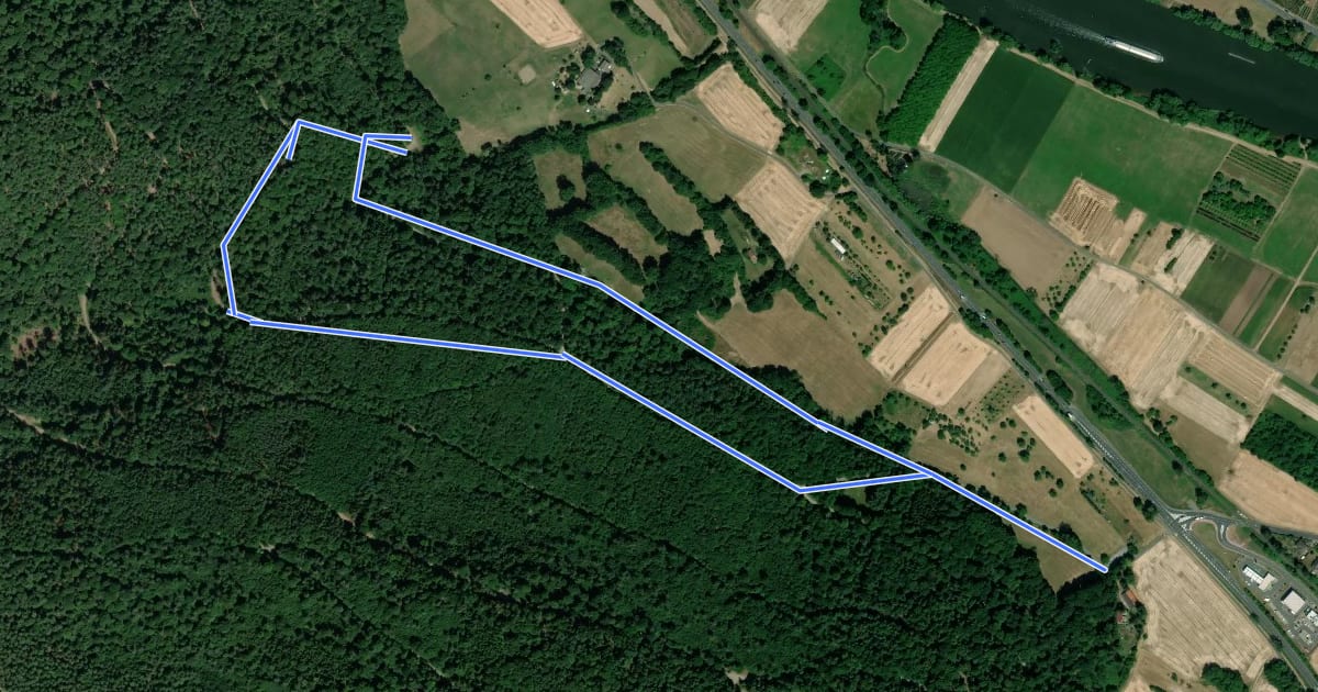 Маршрут Rundwanderweg Kleinheubach Galgen 1: Galgenweg на спутниковом снимке