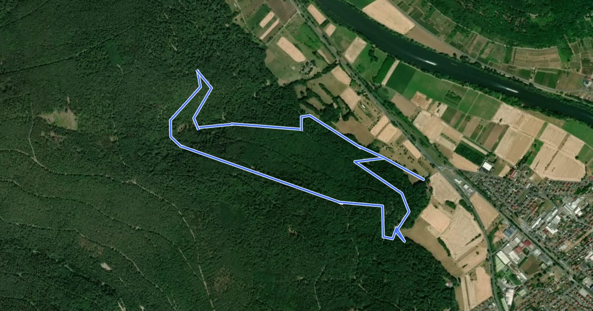 Маршрут Rundwanderweg Kleinheubach Galgen 2: Birkenheckenweg на спутниковом снимке