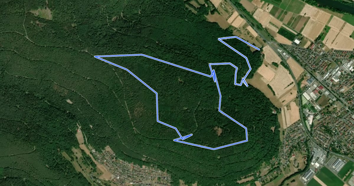 Маршрут Rundwanderweg Kleinheubach Galgen 3: Steingemürbweg на спутниковом снимке