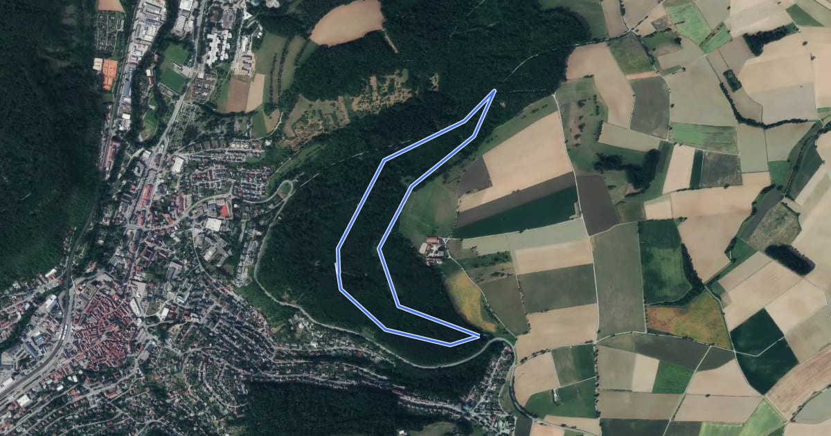 Маршрут Rundwanderweg Knopfwald 1: Knopfwald-Weg на спутниковом снимке