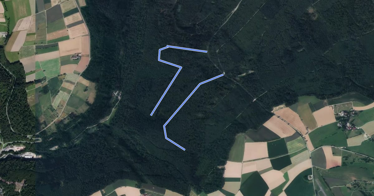 Маршрут Rundwanderweg Kohlplatte 2: Herrmannsklinge-Weg на спутниковом снимке