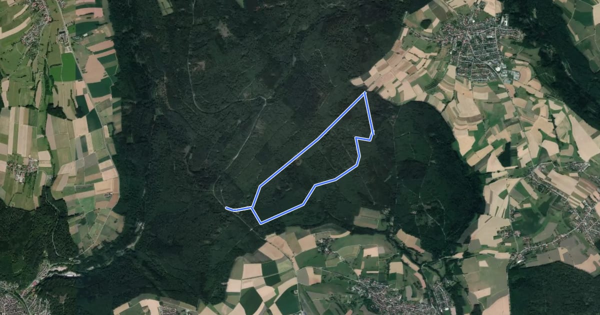 Маршрут Rundwanderweg Kohlplatte 5: Forstwald-Weg на спутниковом снимке