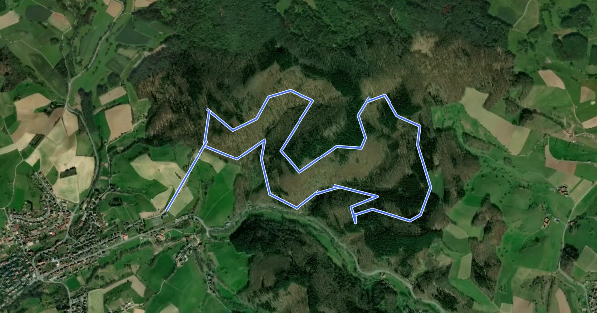 Маршрут Rundwanderweg Kohlwald 1: Kohlwald-Weg на спутниковом снимке