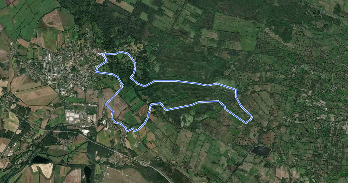 Маршрут Rundwanderweg Lübbenau - Leipe - Lübbenau на спутниковом снимке