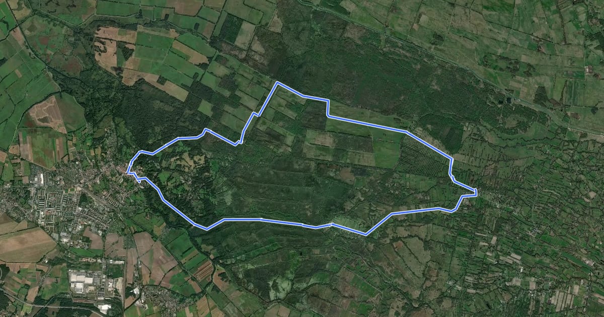 Маршрут Rundwanderweg Lübbenau - Waldschlößchen - Lübbenau на спутниковом снимке