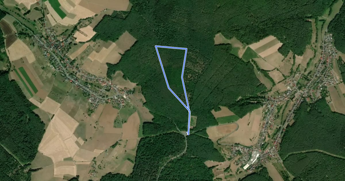 Маршрут Rundwanderweg Lützelbach Kastell-Windlücke 3: Bannholzweg на спутниковом снимке