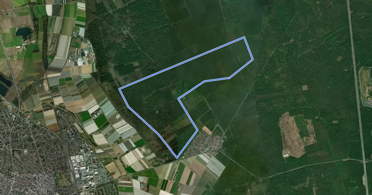 Маршрут Rundwanderweg Lampertheim Lorscher Weg 3: Wasenacker-Weg на спутниковом снимке