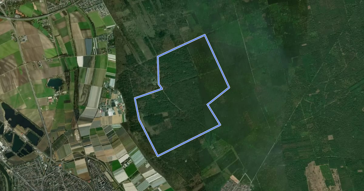 Маршрут Rundwanderweg Lampertheim Lorscher Weg 4: Oberjägermeister-Weg на спутниковом снимке