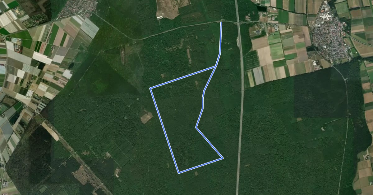 Маршрут Rundwanderweg Lampertheim Wildbahn 2: Jägerhaus-Weg на спутниковом снимке