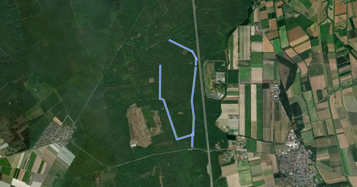 Маршрут Rundwanderweg Lampertheim Wildbahn 6: Rehschneisen-Weg на спутниковом снимке