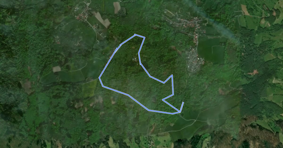 Маршрут Rundwanderweg Lautertal Schannenbacher Eck 4: Panoramaweg на спутниковом снимке