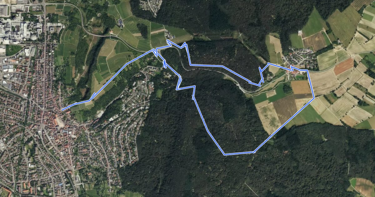 Маршрут Rundwanderweg Leimen 4: Lingentaler Weg на спутниковом снимке