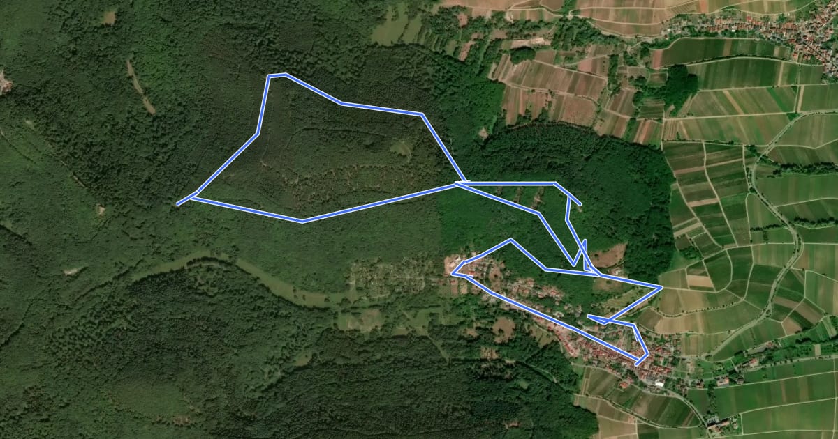 Маршрут Rundwanderweg Leinsweiler 1 на спутниковом снимке