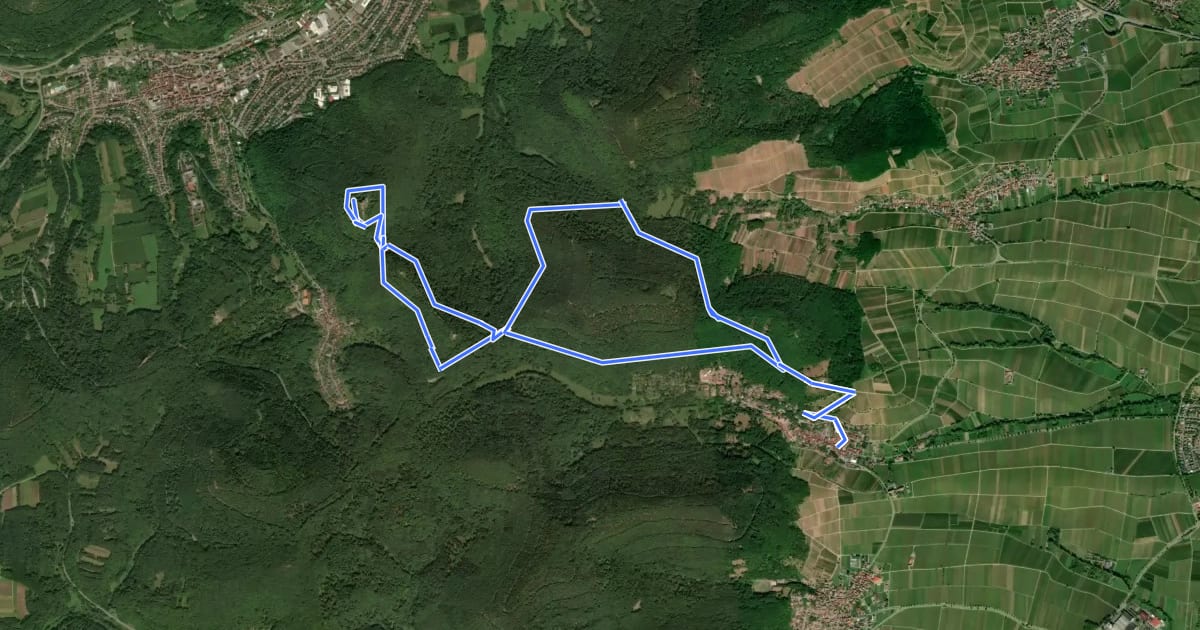 Маршрут Rundwanderweg Leinsweiler 2 на спутниковом снимке