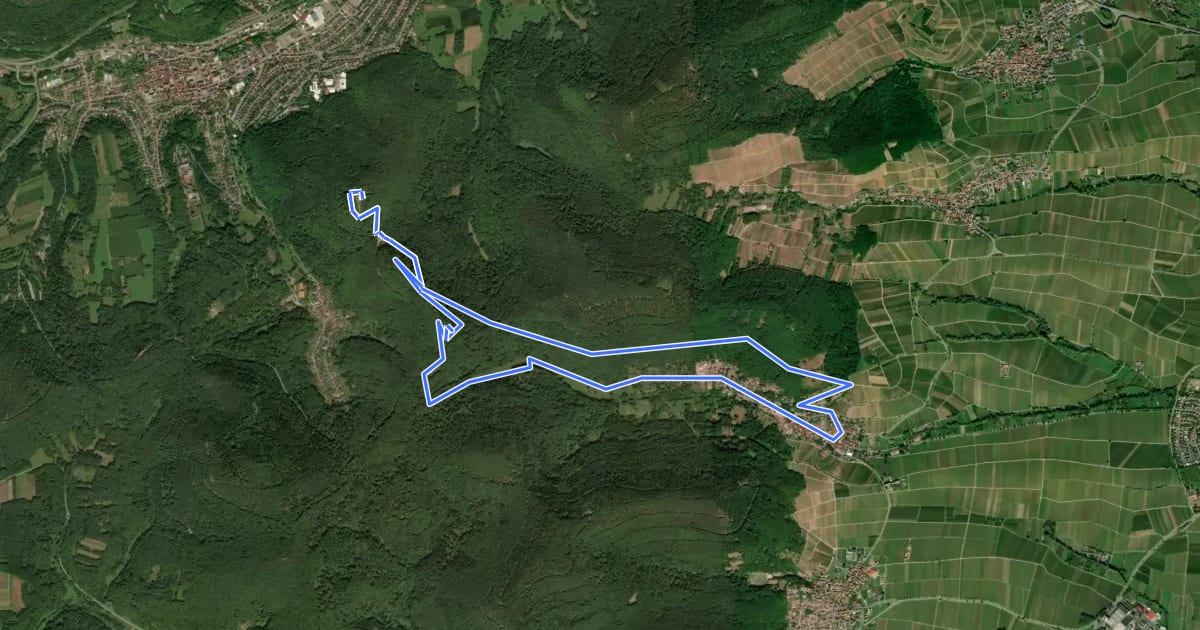Маршрут Rundwanderweg Leinsweiler 3 на спутниковом снимке