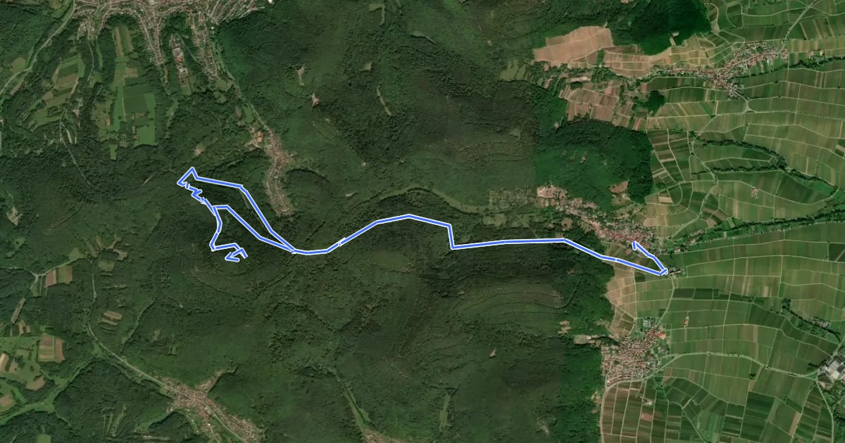 Маршрут Rundwanderweg Leinsweiler 4 на спутниковом снимке
